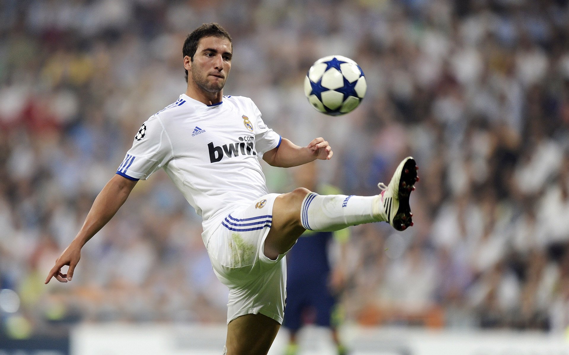 亚洲田径锦标赛圆满落幕 中国队斩获多枚金牌创佳绩