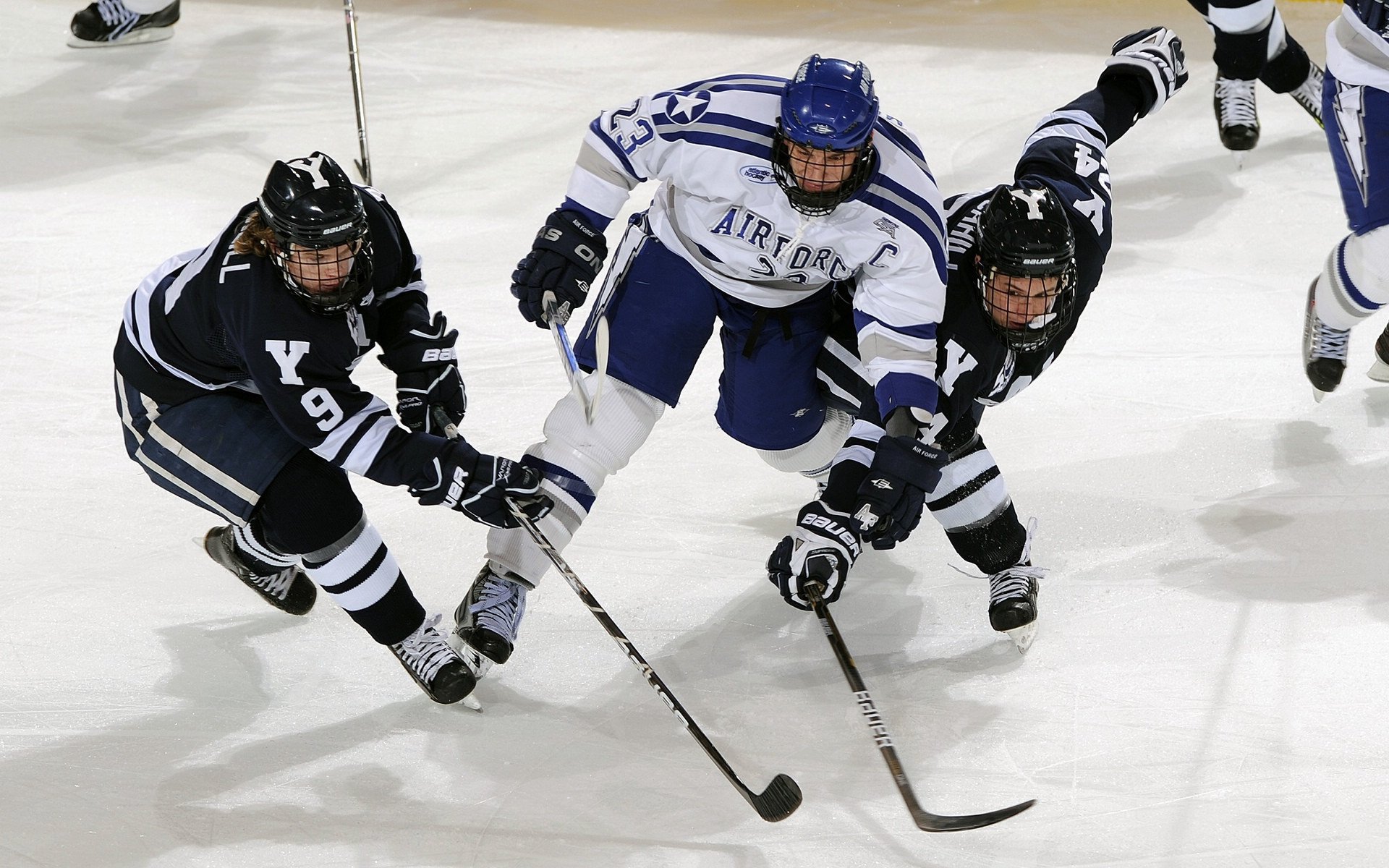 中国速度滑冰队再创佳绩 小将王雪斩获世界杯分站赛金牌